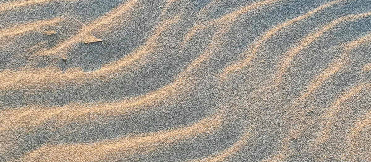 San Vincenzo: storia, natura e divertimento sulla costa toscana